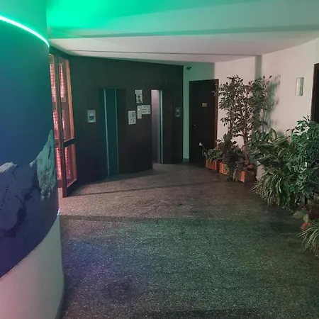 Cielo Alto