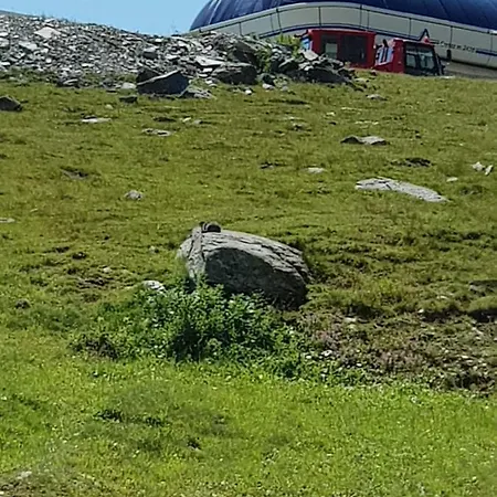 Appartement Cielo Alto Breuil-Cervinia